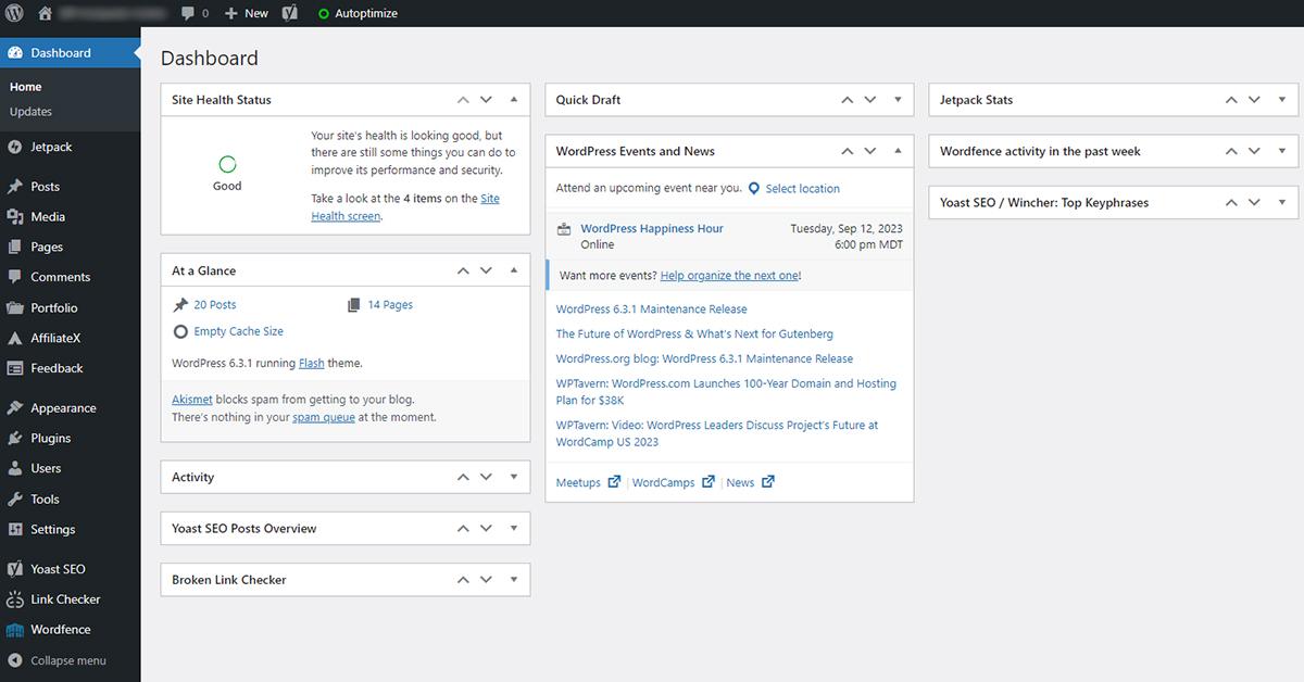 WordPress vs Custom Website